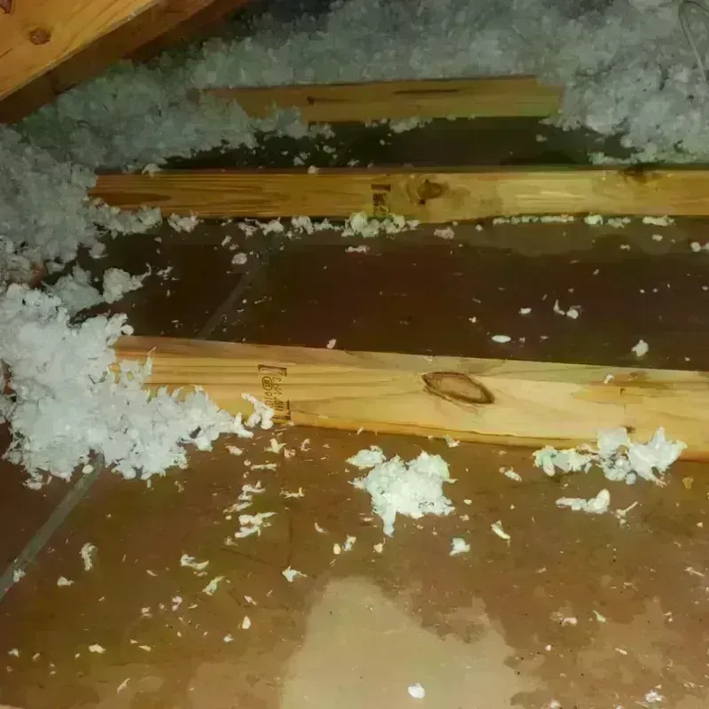 Attic Water Damage in Kutztown, PA